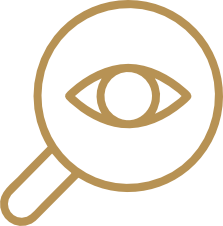 Amplify Your Brand Visibility